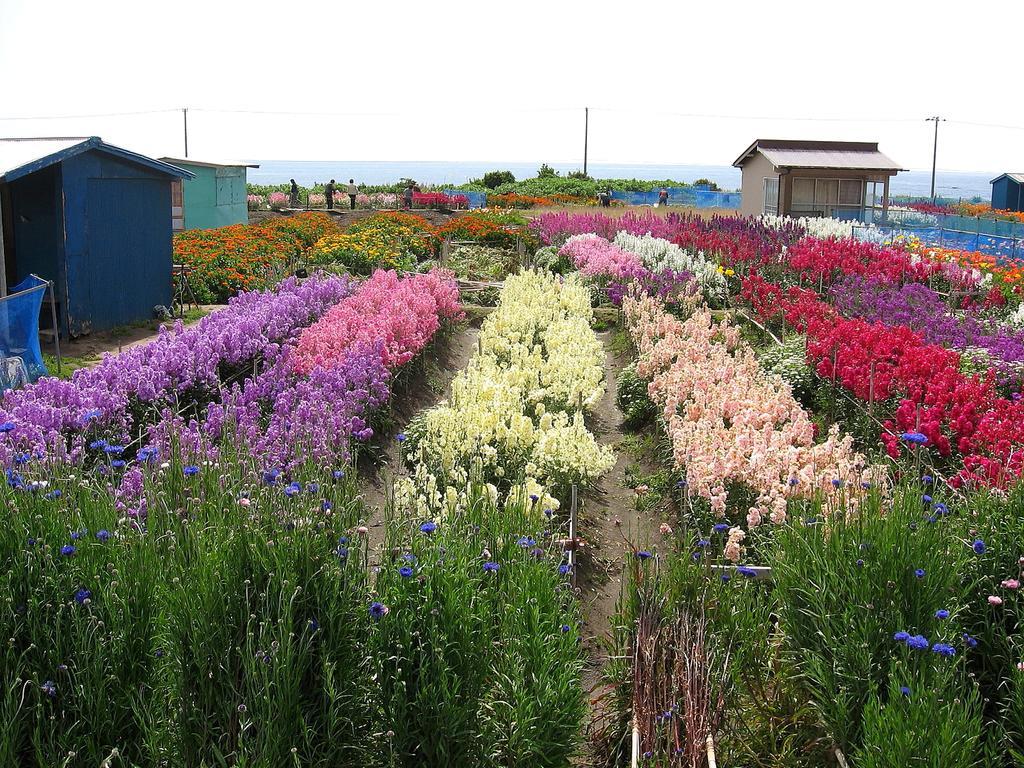 Hillside Inn Sirocco Tateyama (Chiba) Exterior foto